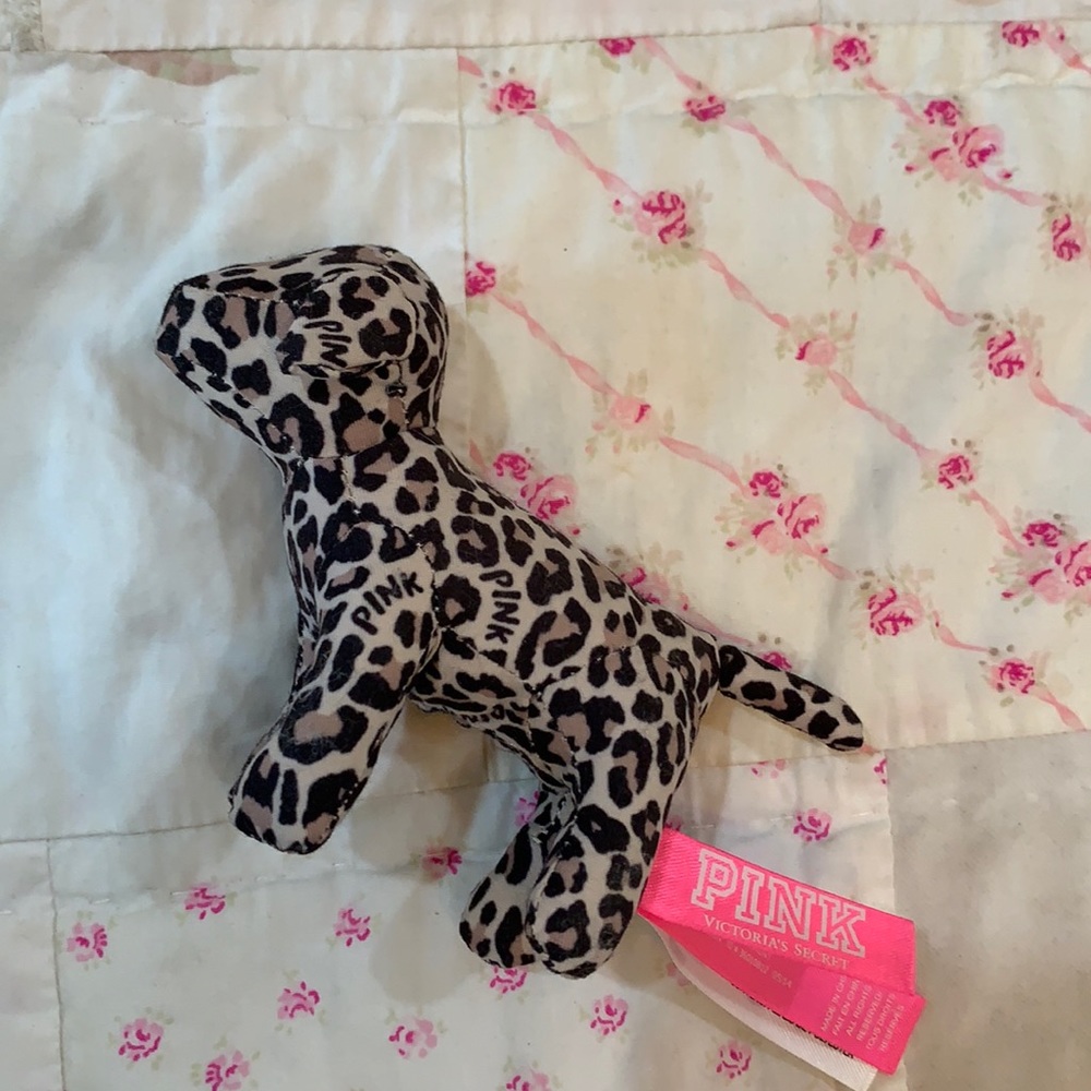 Victoria Secret Dog